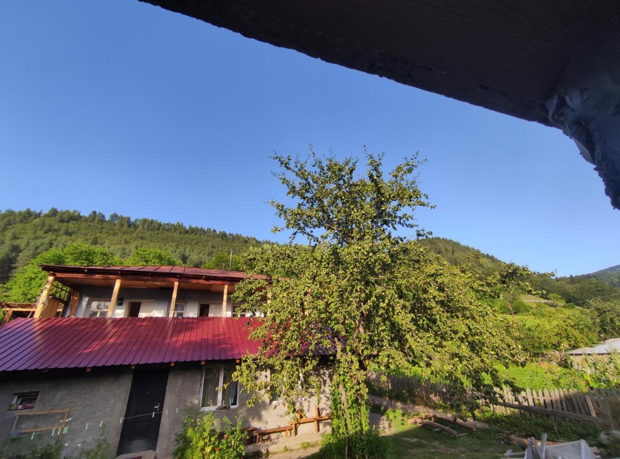 Ecohouse Svaneti Mestia Exterior foto