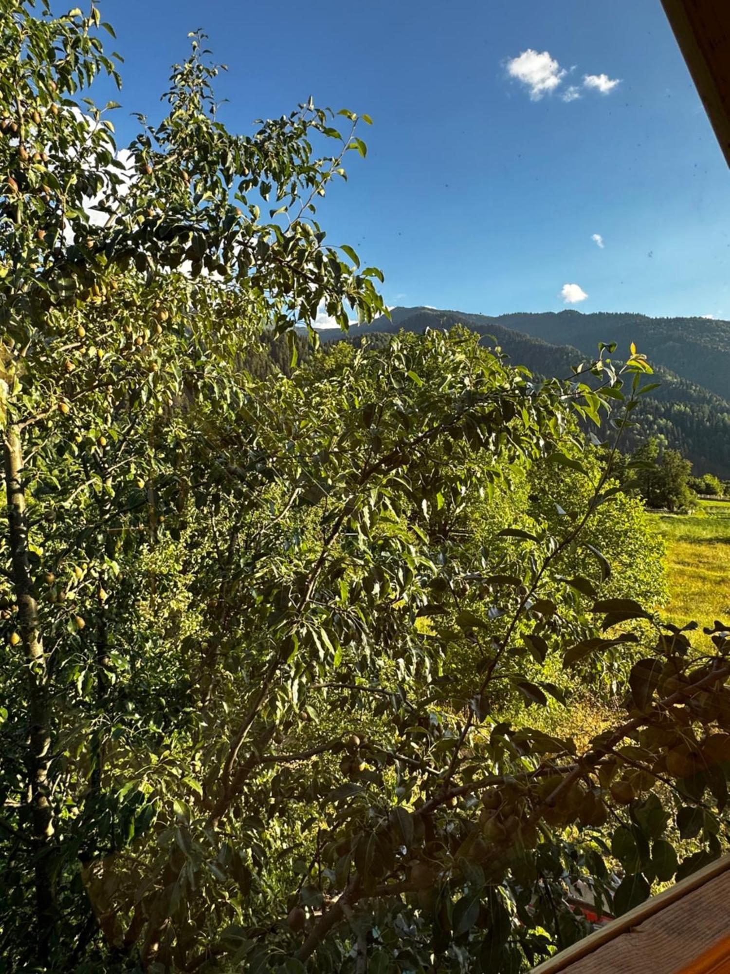 Ecohouse Svaneti Mestia Exterior foto